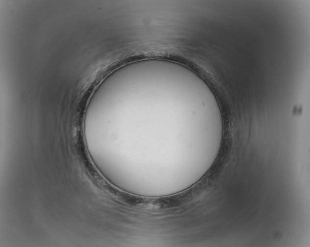 X0000111900687200907271011