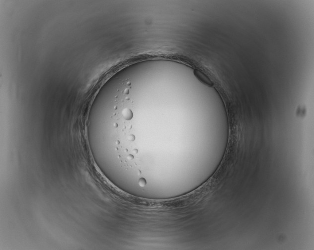 X0000111900688200907271011