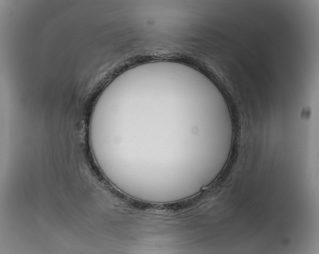 X0000111900689200907271011