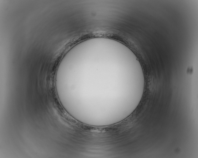 X0000111900690200907271011
