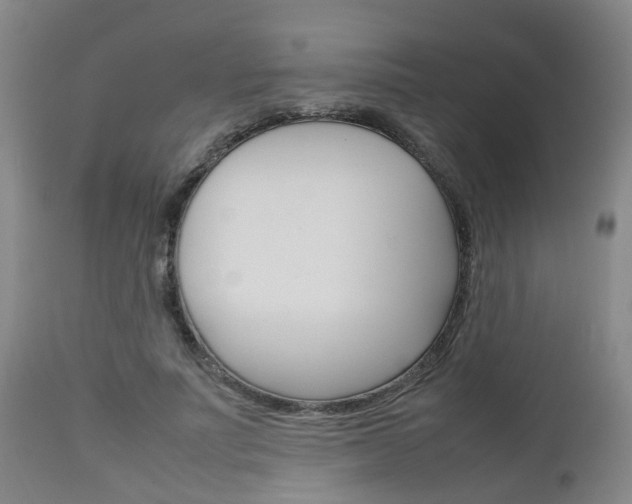 X0000111900691200907271010