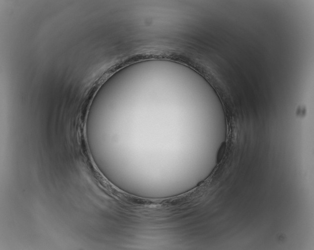 X0000111900692200907271010