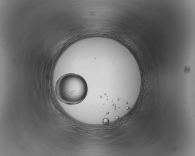 X0000111900693200907271010