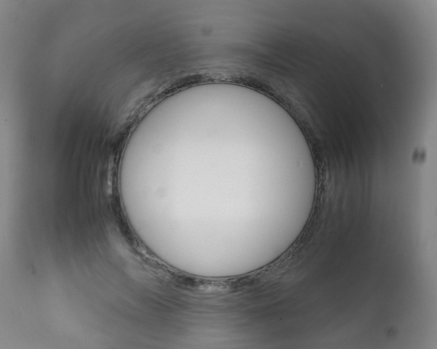 X0000111900694200907271010