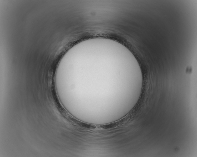 X0000111900695200907271010