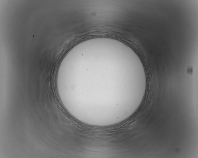 X0000111900697200907271010