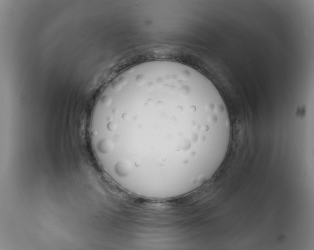 X0000111900698200907271010