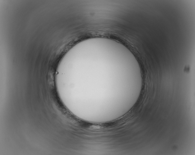 X0000111900699200907271010