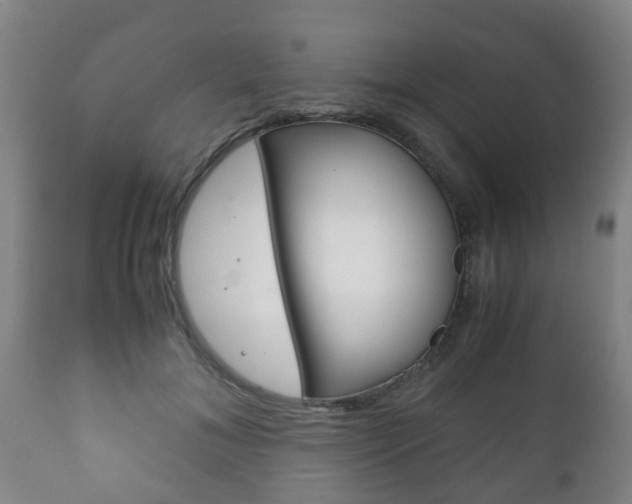 X0000111900700200907271010