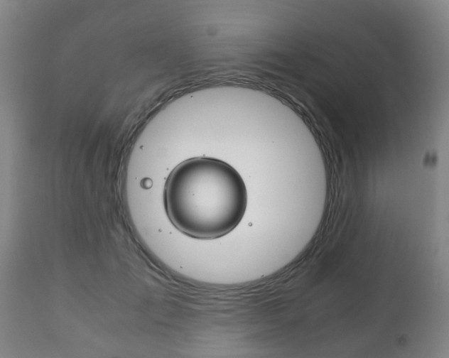 X0000111900701200907271010