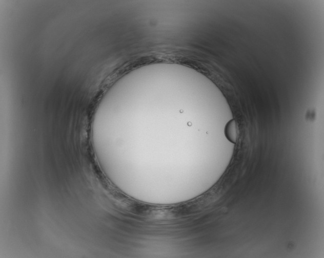 X0000111900702200907271010