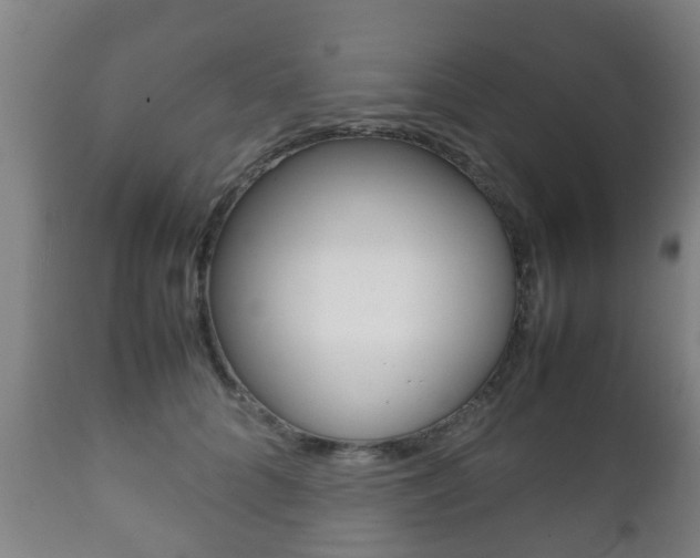 X0000111900704200907271010