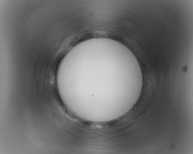 X0000111900706200907271010