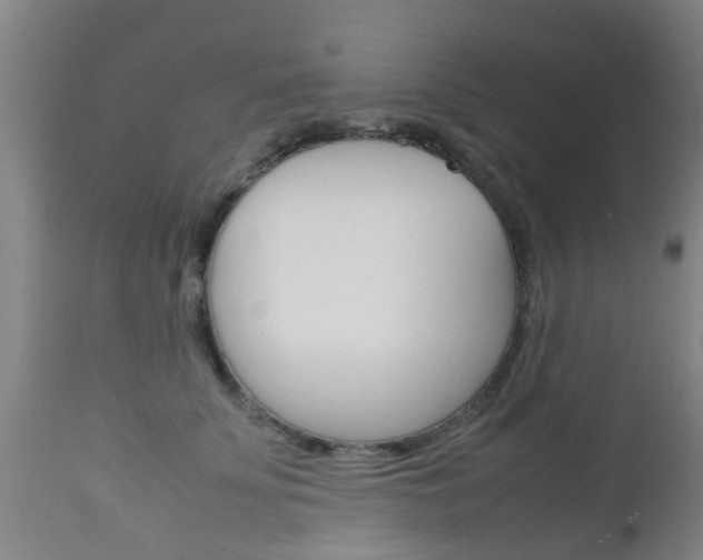X0000111900707200907271010