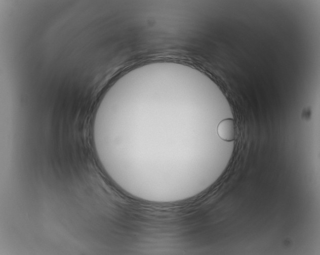 X0000111900708200907271010