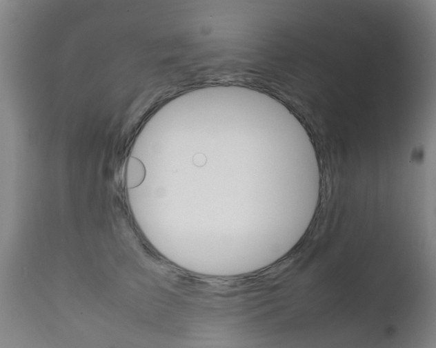 X0000111900709200907271010