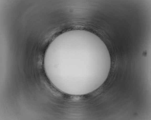 X0000111900710200907271010
