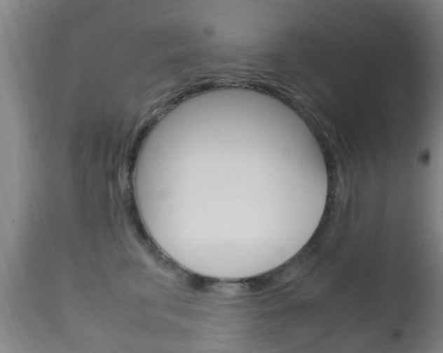 X0000111900711200907271010