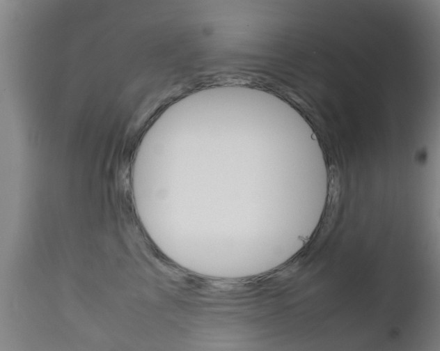 X0000111900713200907271010