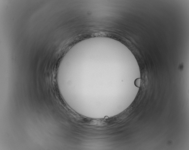 X0000111900714200907271010