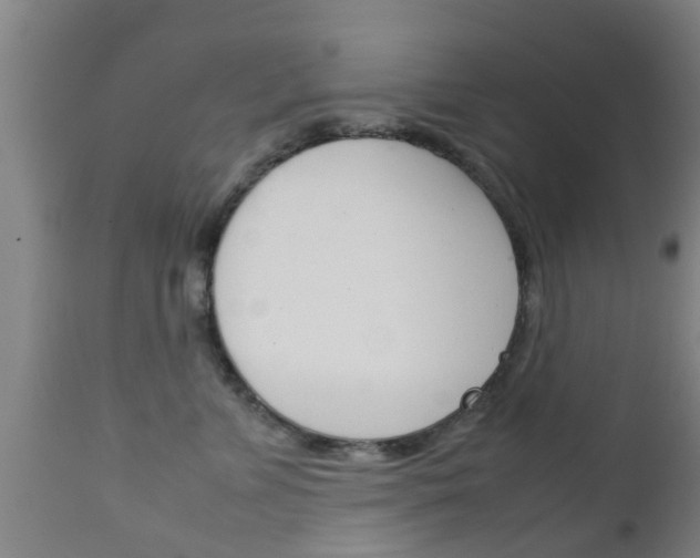 X0000111900715200907271010