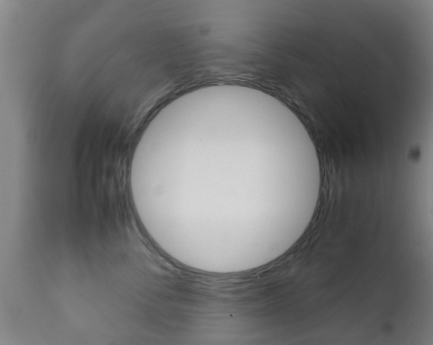 X0000111900716200907271010