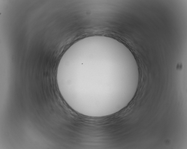 X0000111900720200907271010