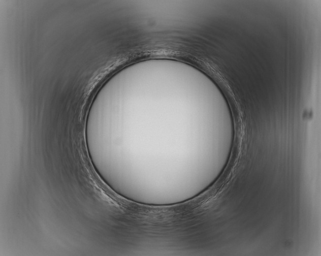 X0000111900721200907271009
