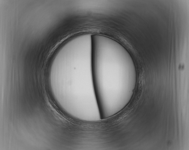 X0000111900722200907271009