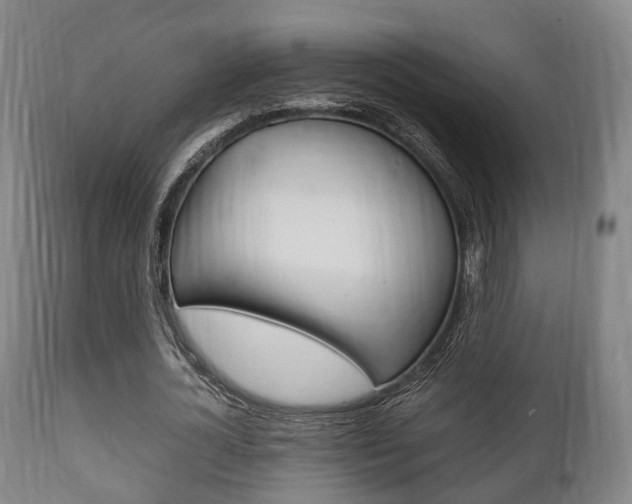 X0000111900724200907271009