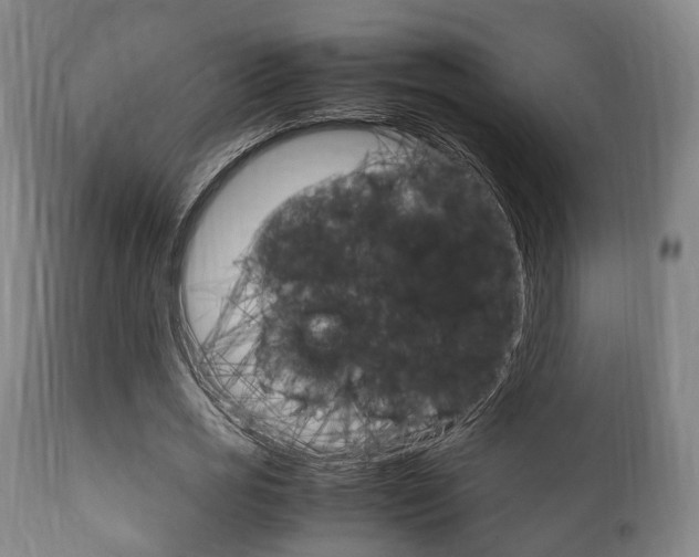 X0000111900725200907271009