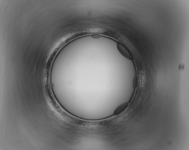 X0000111900726200907271009