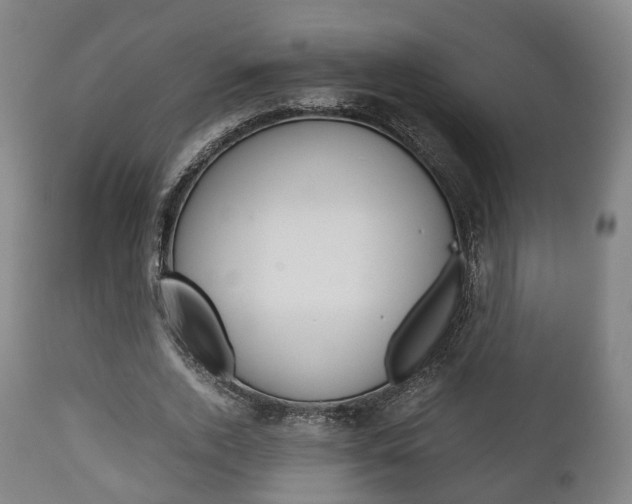 X0000111900728200907271009