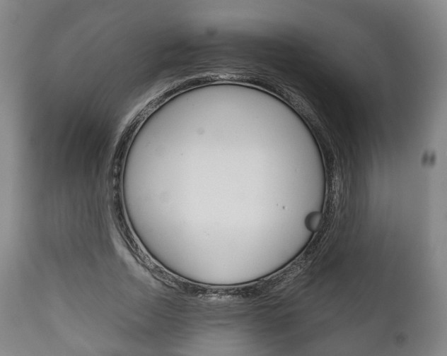 X0000111900730200907271009