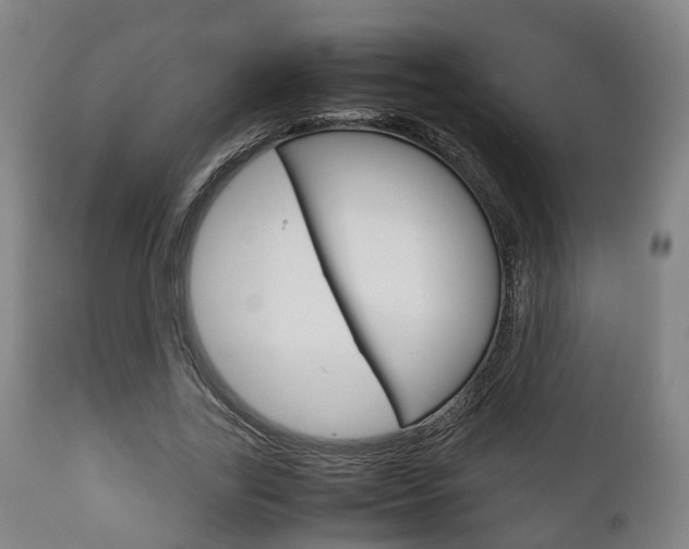 X0000111900731200907271009