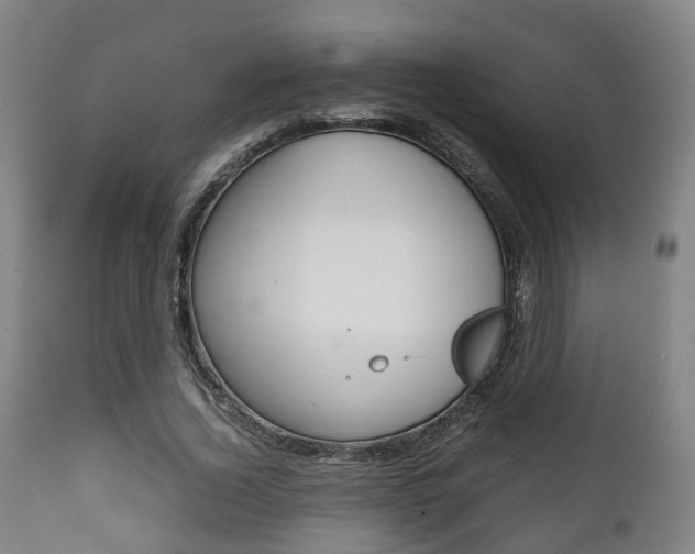 X0000111900732200907271009
