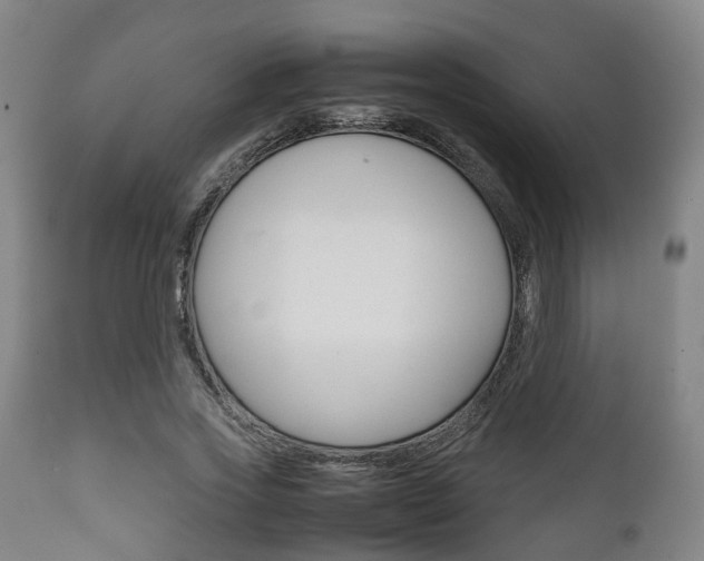 X0000111900733200907271009