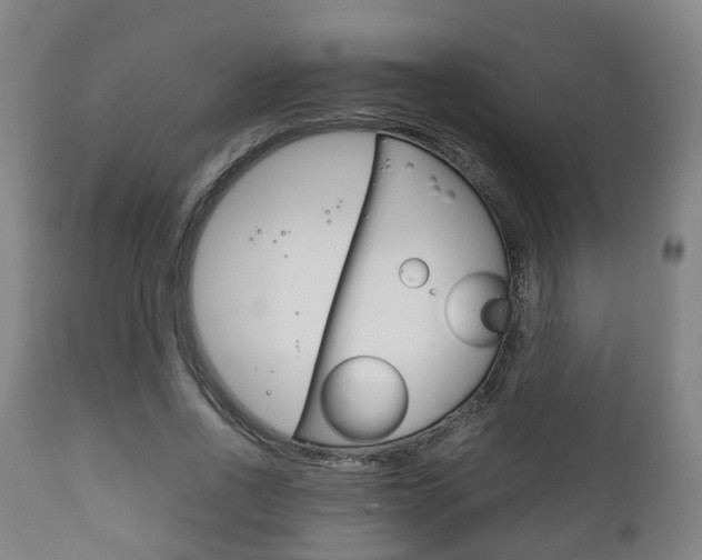 X0000111900734200907271009