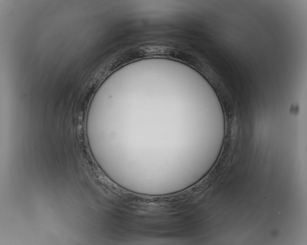 X0000111900737200907271009