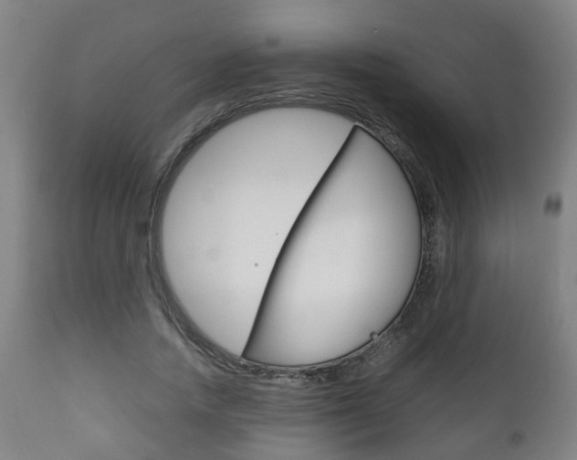 X0000111900738200907271009