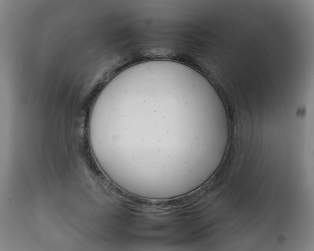 X0000111900739200907271009