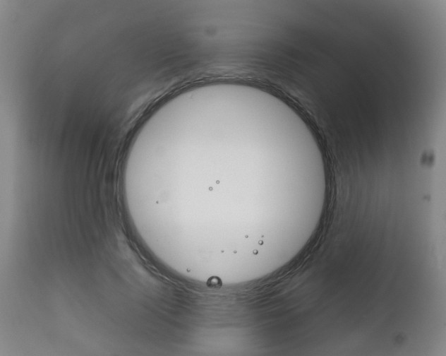 X0000111900740200907271009