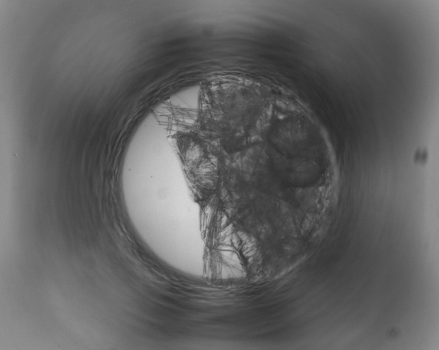 X0000111900741200907271009