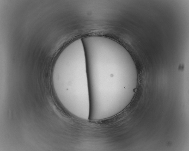X0000111900742200907271009