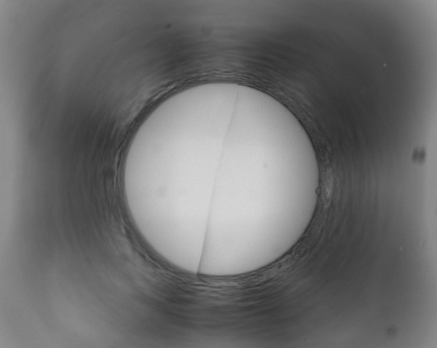 X0000111900743200907271009