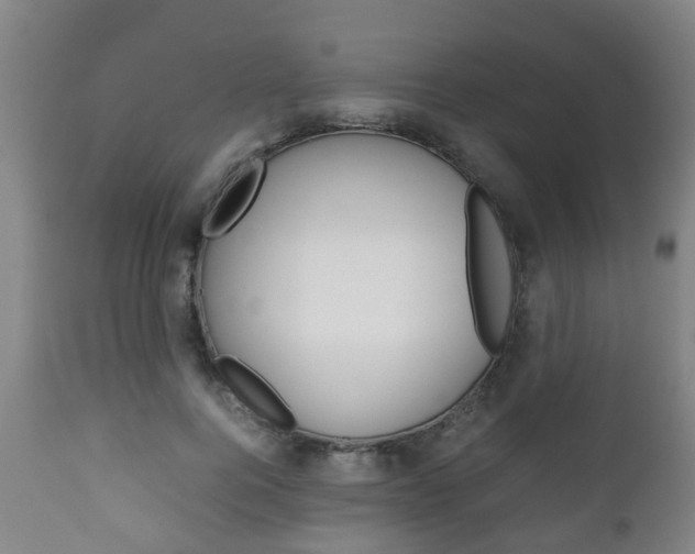 X0000111900744200907271009