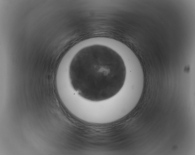 X0000111900745200907271009