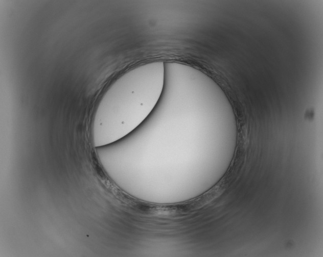 X0000111900746200907271009