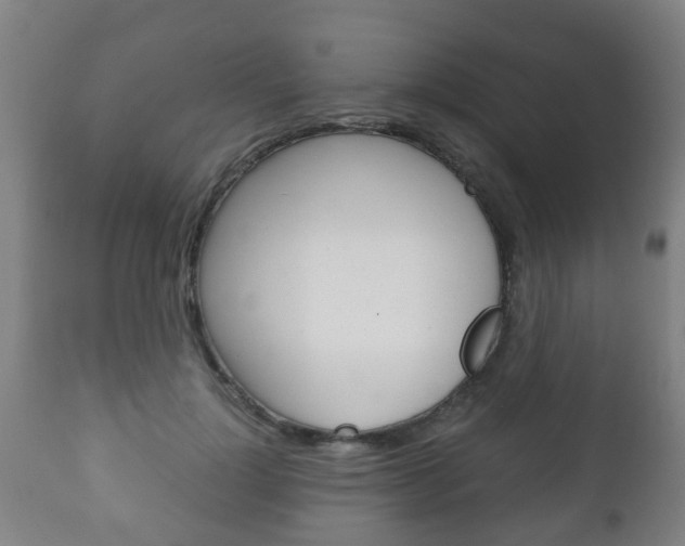 X0000111900748200907271010