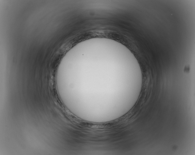 X0000111900749200907271010